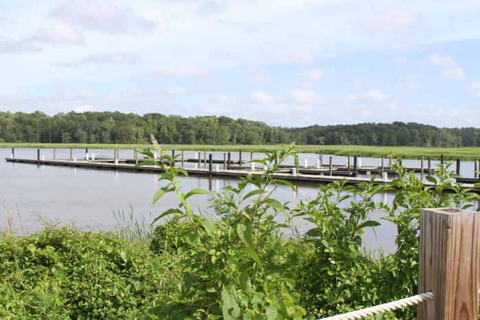 surry seafood company