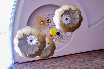 hotel mitru sur