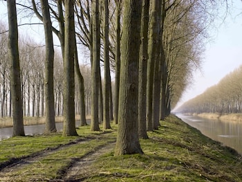 knokke heist