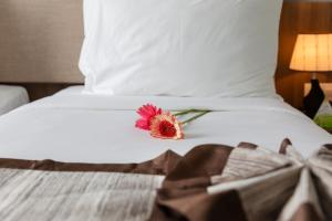 libra nha trang hotel