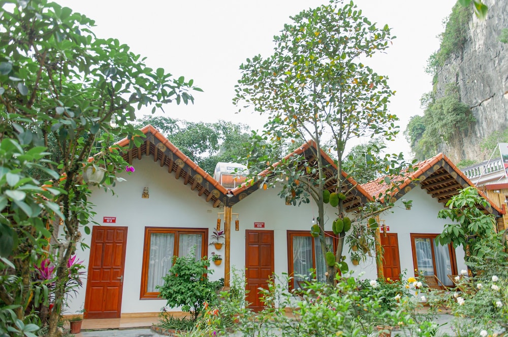 hoa lu