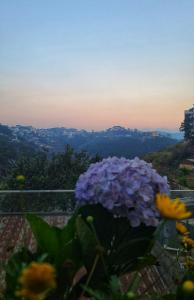 the luxe hotel da lat