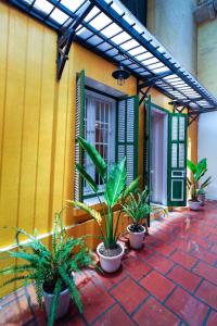 little anh house