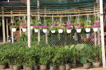 gite nam hien mekong