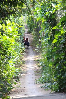 gite nam hien mekong