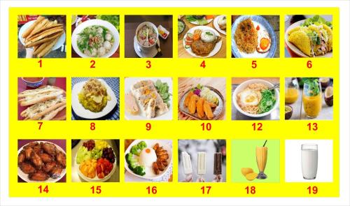 sao mai cosy nest noi bai airport