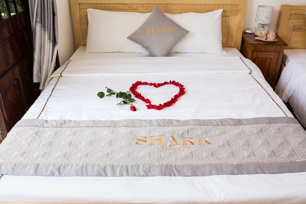 shark hotel hostel