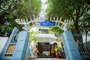 shark hotel hostel