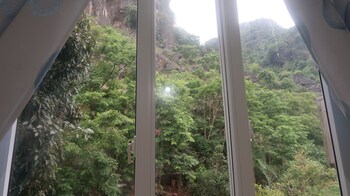 phong nha