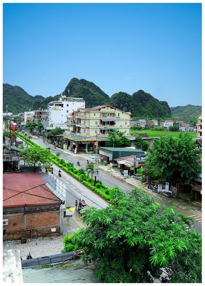 phong nha