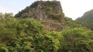 phong nha