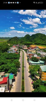 phong nha