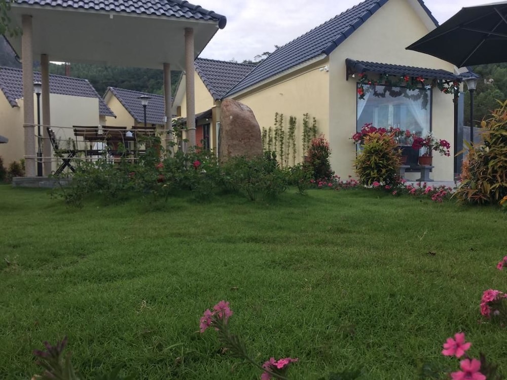 aloha binh tien