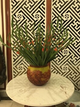 phoenix 3 international hotel