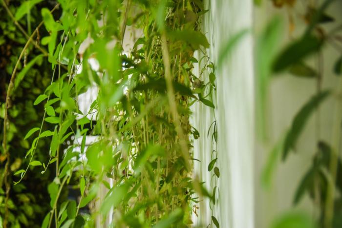 babylon garden condotel