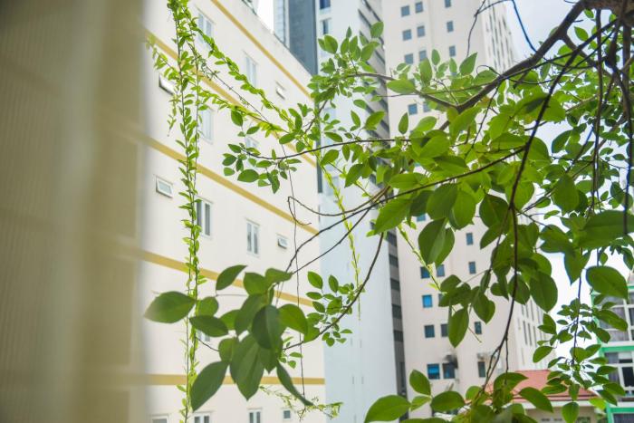 babylon garden condotel