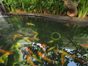 babylon garden condotel