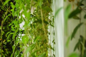 babylon garden condotel