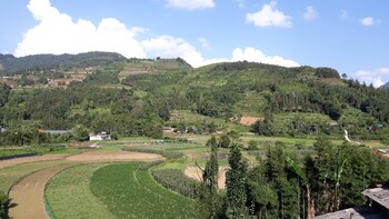 bac ha lao cai