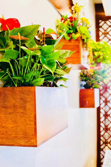 coral phu quoc hotel