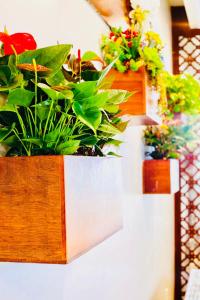 coral phu quoc hotel