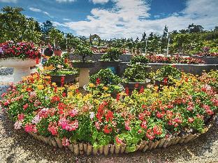 da lat