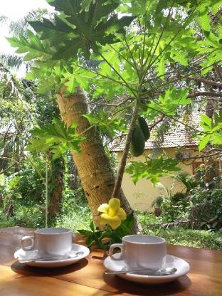 phu quoc pomelo garden