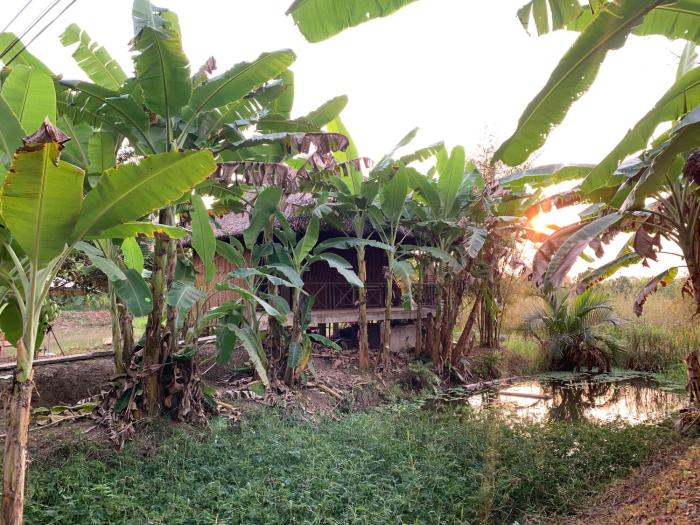 hometravel mekong can tho hostel