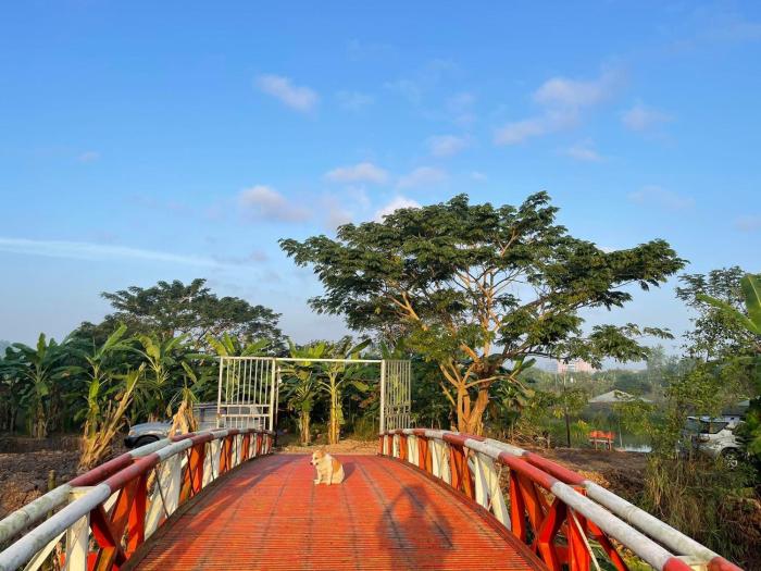 hometravel mekong can tho hostel