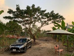 hometravel mekong can tho hostel