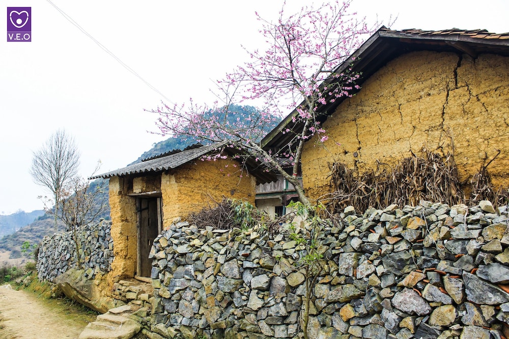 homie homestay hostel