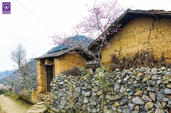 homie homestay hostel