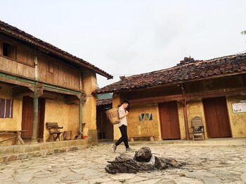 homie homestay hostel