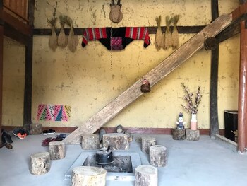 homie homestay hostel