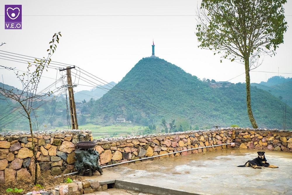 homie homestay hostel