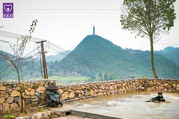 homie homestay hostel