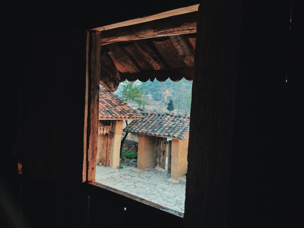 homie homestay hostel