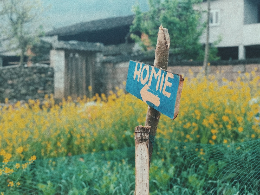 homie homestay hostel