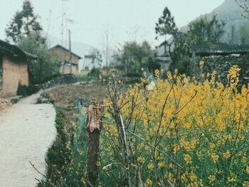 homie homestay hostel