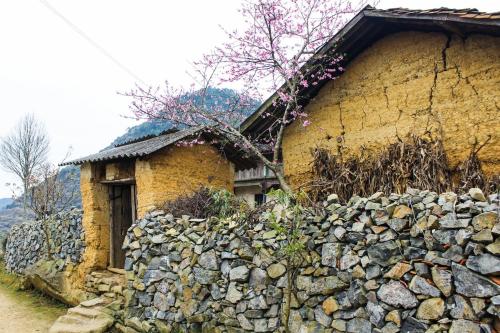 homie homestay hostel