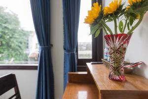 new destination hoi an homestay