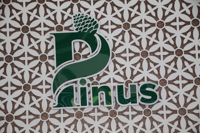 pinus hotel
