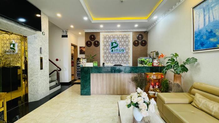 pinus hotel