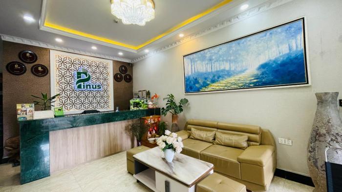pinus hotel