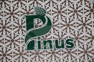 pinus hotel
