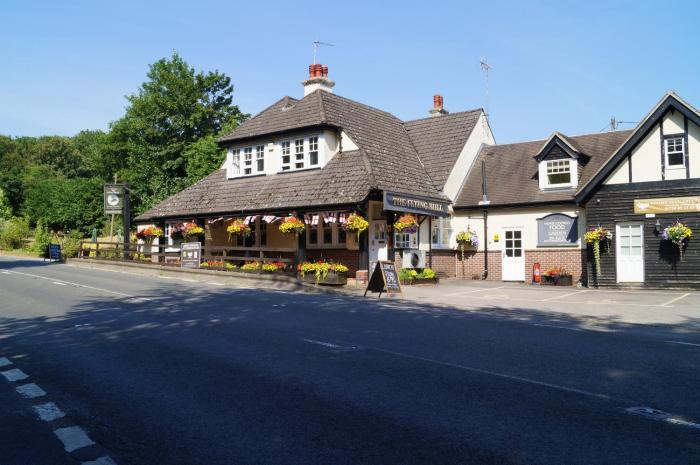 the flying bull inn