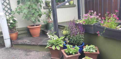 Usk And Railway Inn,Maescar>>Brecon,4 star