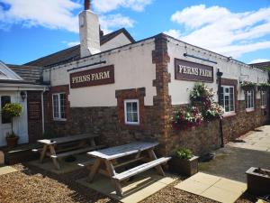 ferns farm hotel and palms leisure club