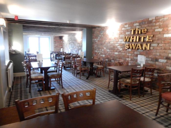 the white swan