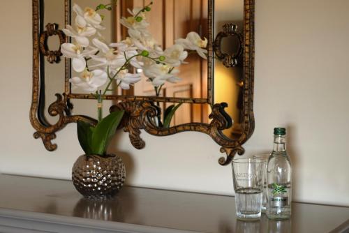 the queens at horton